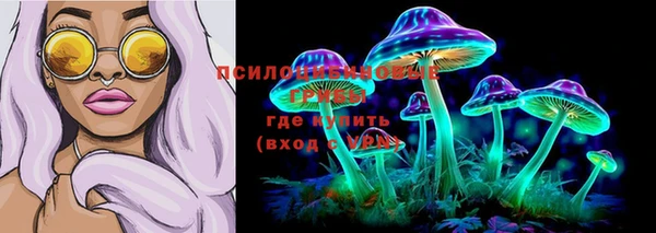 мдпв Осинники