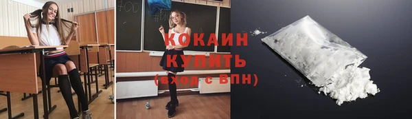 мдпв Осинники