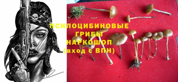 мдпв Осинники