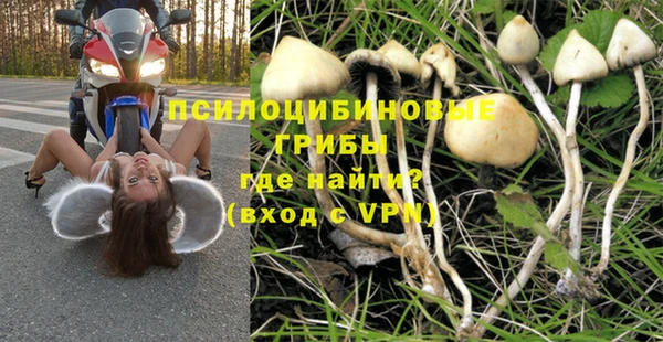 мдпв Осинники
