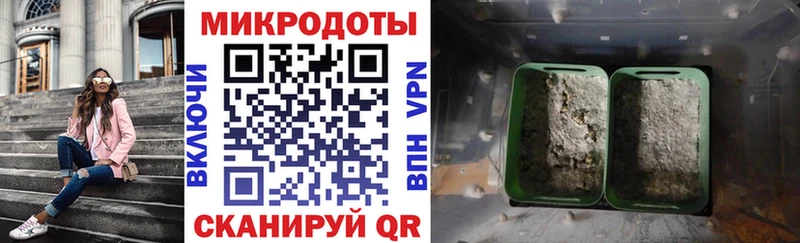 Купить закладки Избербаш Псилоцибиновые грибы Psilocybine cubensis